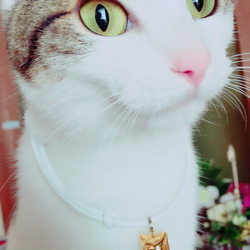 猫ねこ鈴ゴールドチャームPicom 4枚目の画像