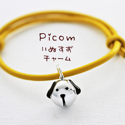 dog dog bell 銀色魅力 Picom 第1張的照片