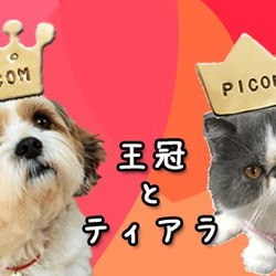 丟失的孩子卡金皇冠魅力黃銅雙環型 Picom 第5張的照片