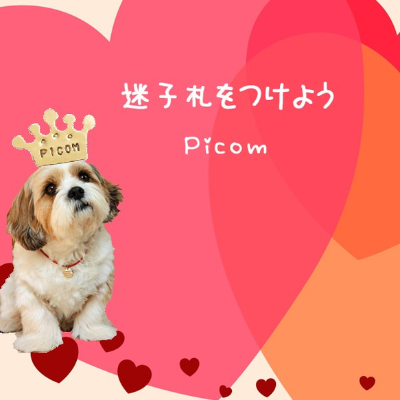 丟失的孩子卡金皇冠魅力黃銅雙環型 Picom 第3張的照片