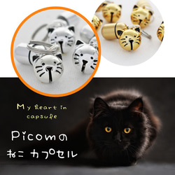 丟卡★貓膠囊★Picom★ 第2張的照片