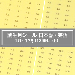 【台紙用シール　日本語・英語12ヶ月】600枚（透明地×黒文字）5×10㎜  誕生石 天然石 S132　S131 1枚目の画像