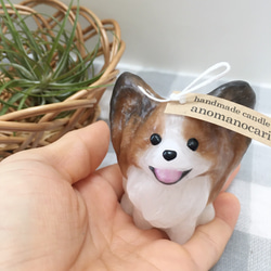 わんちゃんのアロマワックスサシェ＊ビションフリーゼ その他