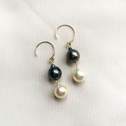 【K14GF】雙巴洛克黑蝴蝶（大溪地）珍珠和日本Akoya珍珠耳環耳環 第3張的照片