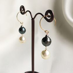 【K14GF】雙巴洛克黑蝴蝶（大溪地）珍珠和日本Akoya珍珠耳環耳環 第2張的照片