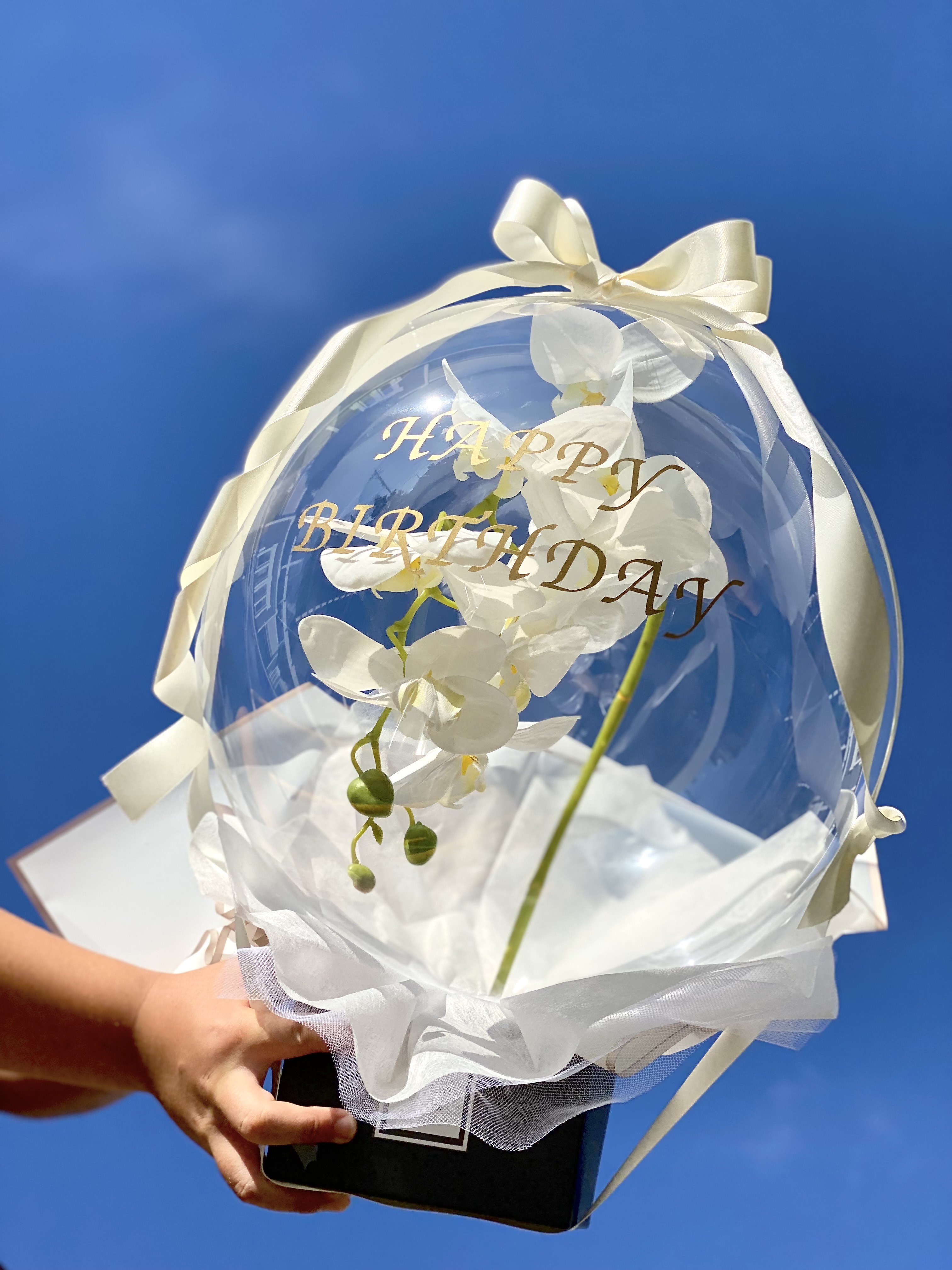 再販中・1番人気！胡蝶蘭inバルーン BOX