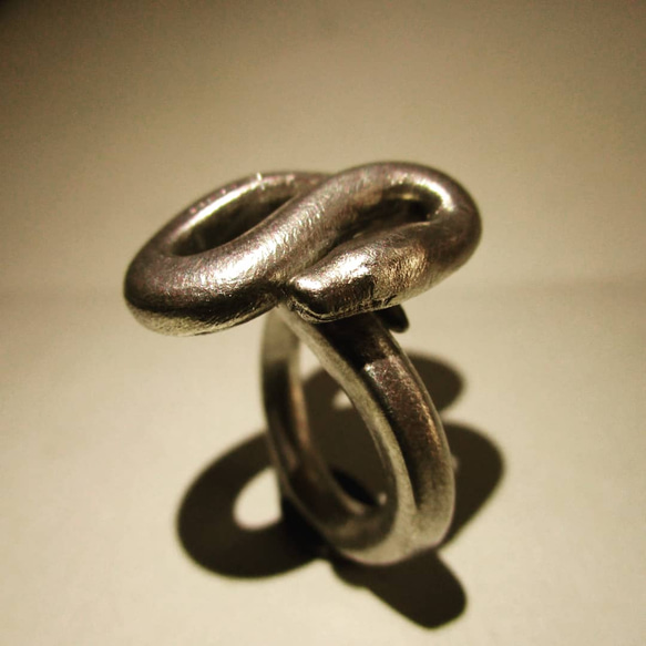 ニシキヘビの指輪 1枚目の画像