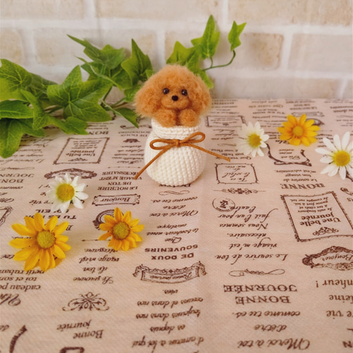 ❶オーダー中止中です　　トイプードルオーダー専用 ➀オーダー中止中です トイプードルオーダー専用 【公式通販】