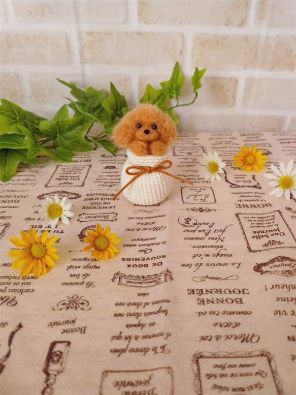 羊毛フェルト ひょっこりトイプードル♪