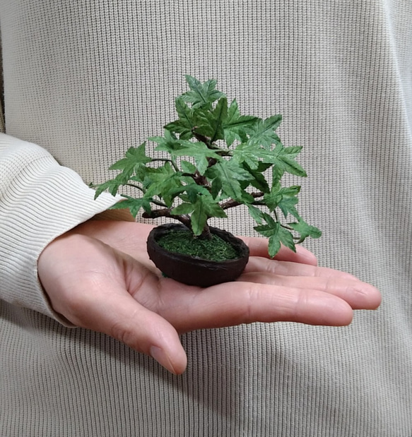 盆栽小鉢～モミジ緑「新緑」　自然素材でお作りした手しごと作品 2枚目の画像