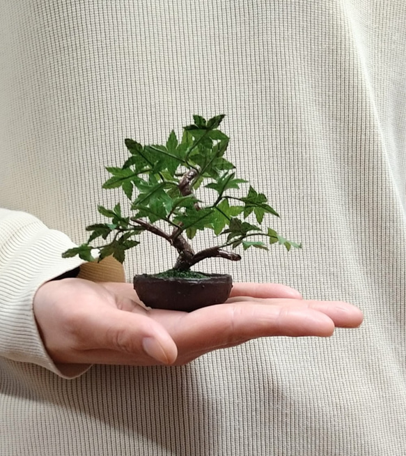 盆栽小鉢～モミジ緑「新緑」　自然素材でお作りした手しごと作品 3枚目の画像