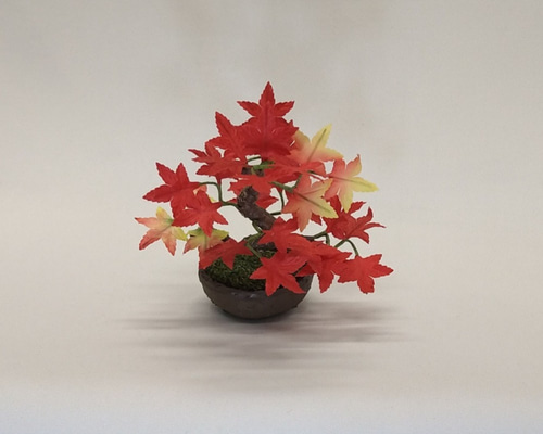 盆栽小鉢～モミジ紅「紅葉」 自然素材でお作りした手しごと作品 盆栽 ...