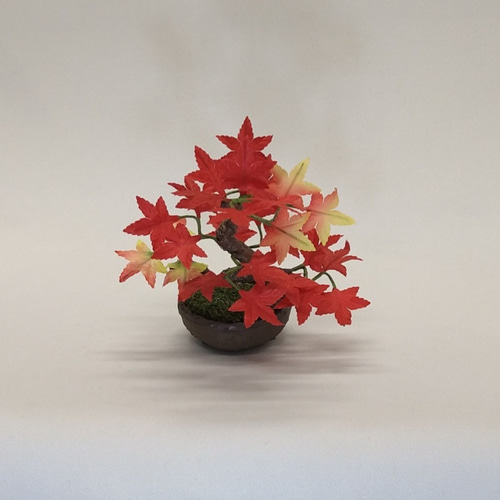 盆栽小鉢～モミジ紅「紅葉」 自然素材でお作りした手しごと作品 盆栽