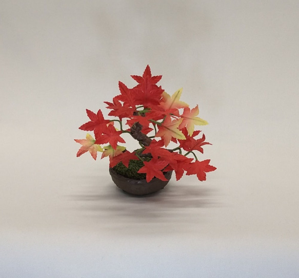 盆栽小鉢～モミジ紅「紅葉」　自然素材でお作りした手しごと作品 1枚目の画像