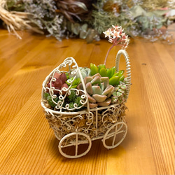 ひい♪ 多肉植物寄せ植え＊*º.:車:.ピアノ:.リース*:♡ 0_51ced84f1263aabc469ae30b1e6e