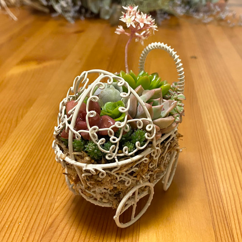ひい♪ 多肉植物寄せ植え＊*º.:車:.ピアノ:.リース*:♡ 多肉植物寄せ植え 乳母車 多肉植物 kanomarihome 通販 11732095