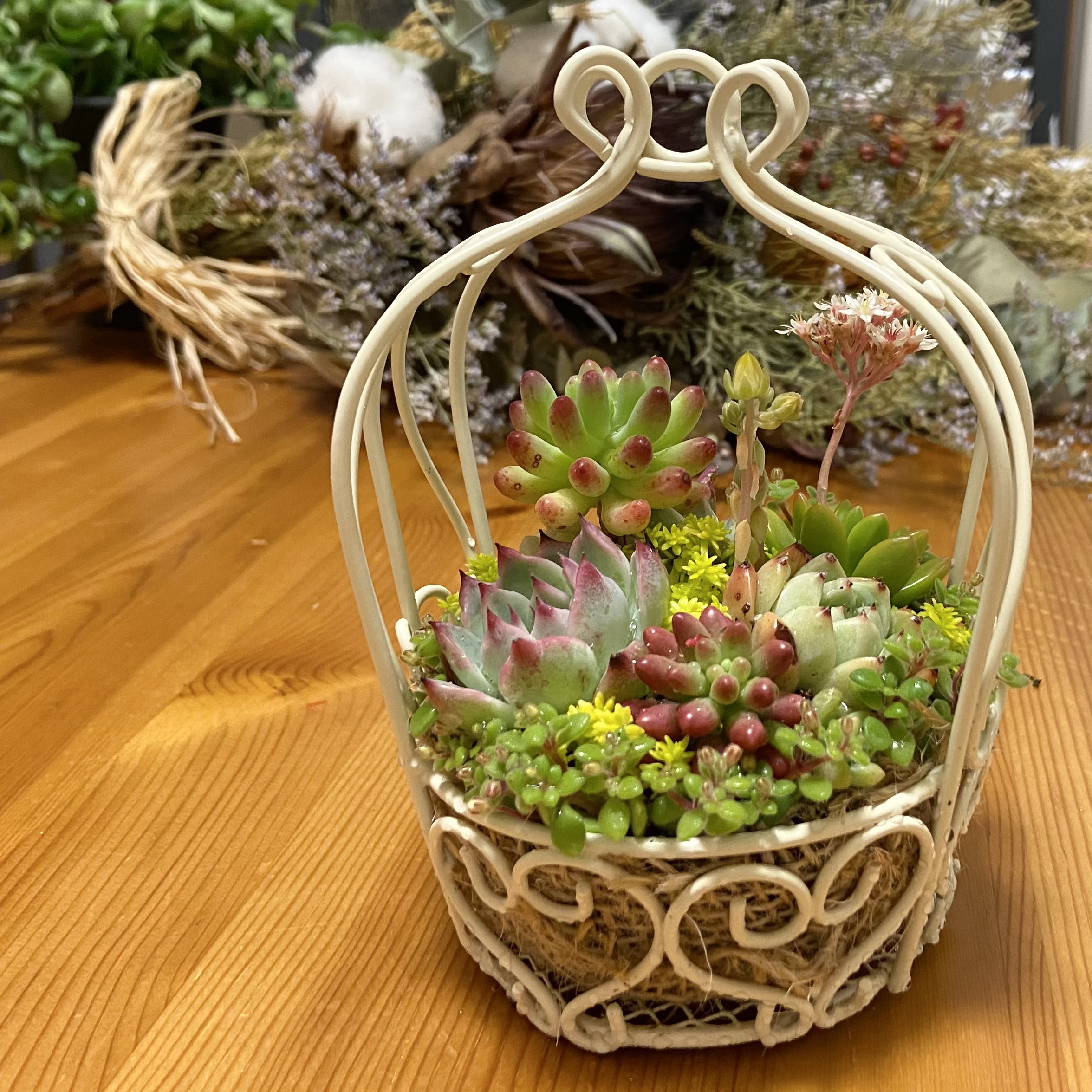 ✿多肉寄せ植え✿白かご✿ワイヤークラフト籠 ✿そのまま飾れます ✿そのまま飾れます ✿多肉寄せ植え✿白かご✿ワイヤークラフト籠