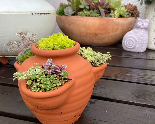 1_15cd0de0ec323a43cccc3b57a496