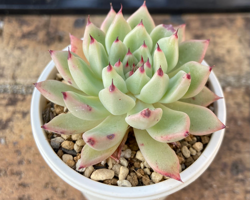 1_4c9582be7d627fd1fbe38ba08076