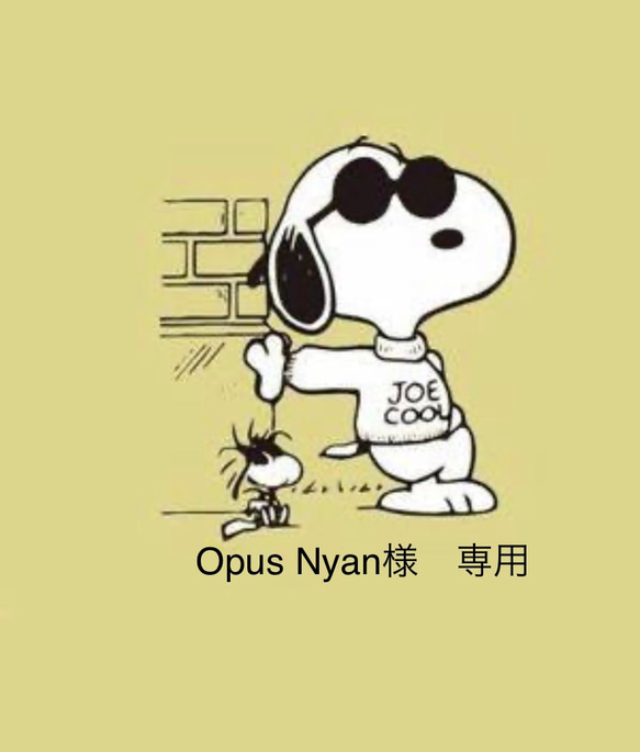 Opus Nyan様　専用 1枚目の画像