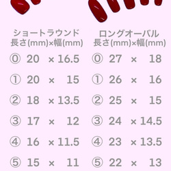 はじめに（ご購入をお考えの方は必ずお読みください） 2枚目の画像