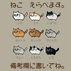 選擇！家貓刺繡[黑色/刺繡] ekot T卹&lt;插圖：Taka（佐川ame子）&gt; 第2張的照片