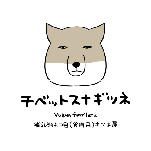 チベットスナギツネ【ホワイト】ekot Tシャツ 5.6オンス<イラスト