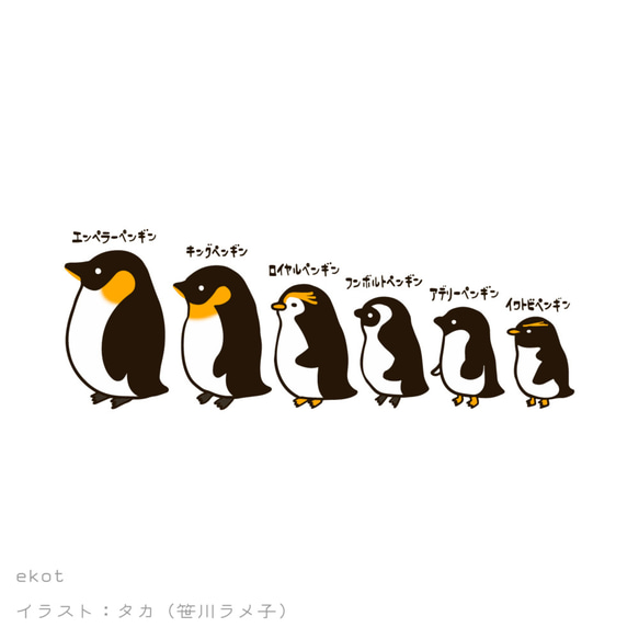 ペンギンいろいろ【ホワイト】ekot パーカー 10オンス<イラスト：タカ（笹川ラメ子）> 2枚目の画像