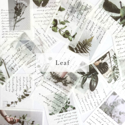 海外フレークシール “Leaf” photo sticker 20枚set 韓国フレークシール 1枚目の画像