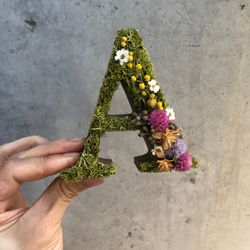 イニシャルオブジェ再販×2 表札・ネームプレート coucou, 通販