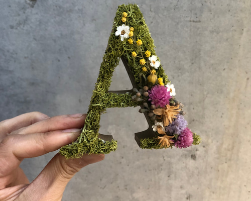 0_4f440d41ccb905850bdb585f1648