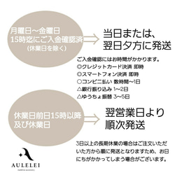 つけっぱなしOK✦キュービックジルコニア金属アレルギー対応サージカルステンレスピアスSUS316L✦セカンドピアスにも 7枚目の画像