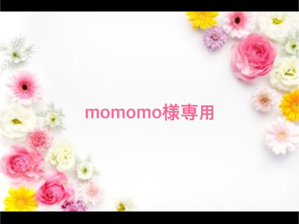 momomo様専用 1枚目の画像