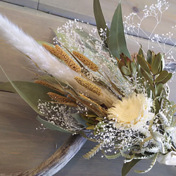 80センチのネイティブドライフラワーの大きい壁掛け 大きい