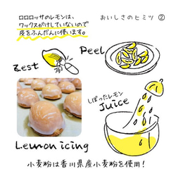 【1箱ご購入専用】5個セット◎香川県産ワックス不使用レモン◎瀬戸内レモンケーキ 5枚目の画像