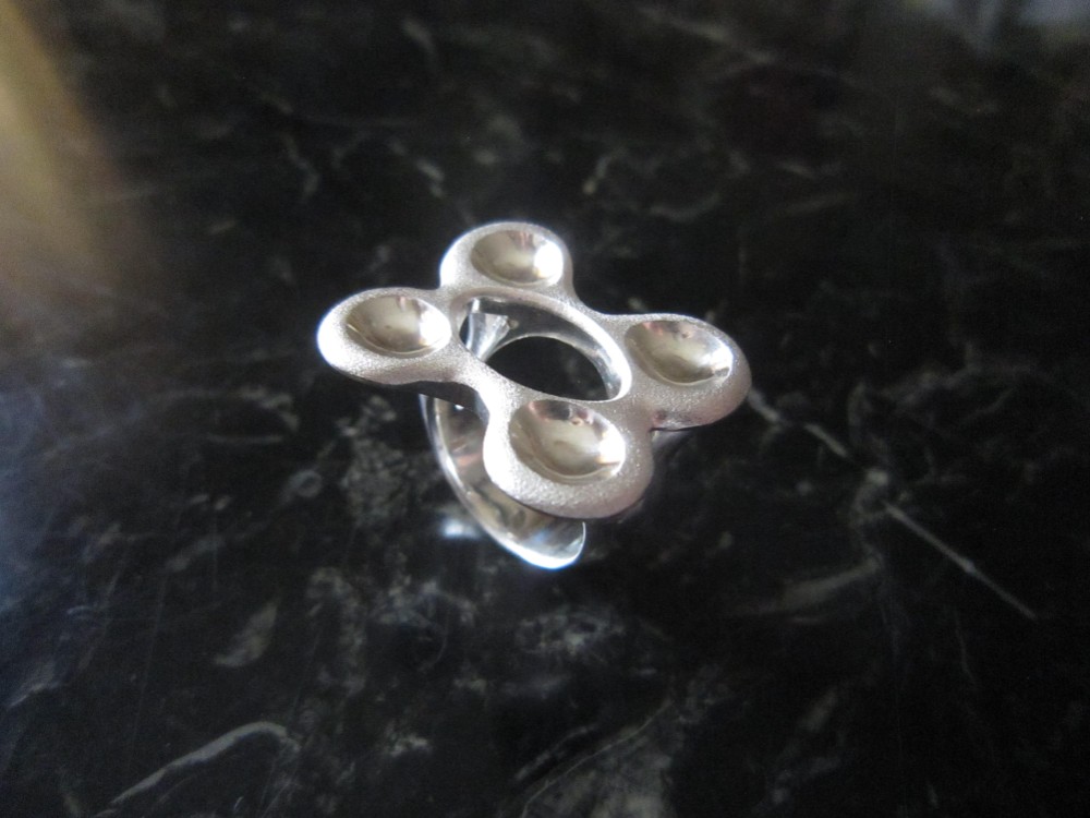 【【永遠の荒川真希の唯一の蟻地獄の愛】と【永遠の荒川芳広の唯一の蟻地獄の愛】】　【指輪】　【素材　白金】