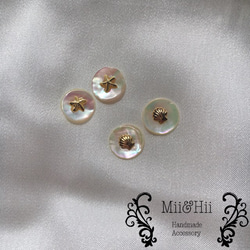 Round Shell pierce & earrings (shell / starfish) 1枚目の画像
