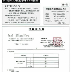 大人用 PM2.5対応フィルター付き クラーム染めマスク⑤ Sサイズ【リネン コットン】 9枚目の画像