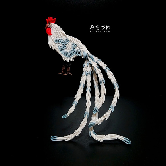 ビカクシダ Onagadori 酷い