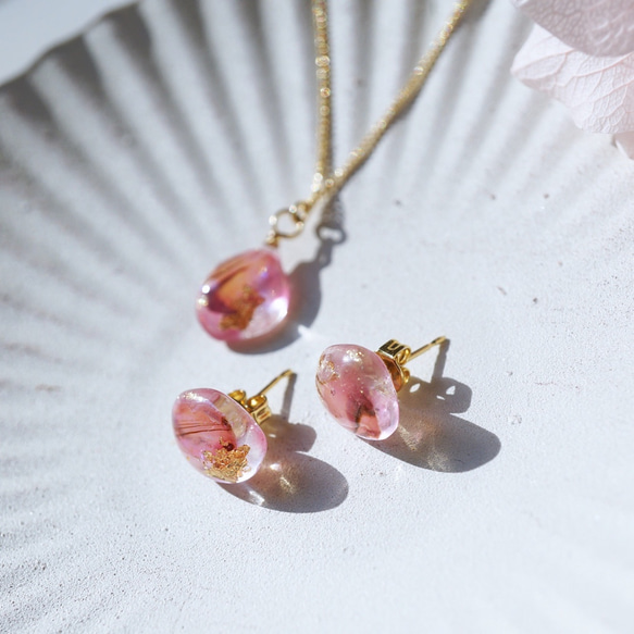 桜貝のアートjewelryギフトセット 4枚目の画像