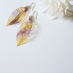 【真的葉子】葉子&珍珠耳環/夾式耳環 第4張的照片
