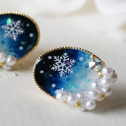 雪の結晶jewelryピアス/イヤリング 1枚目の画像