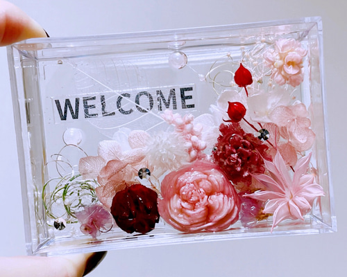 0_7e8ccd442aaa61bb1e4ffdcd82e8