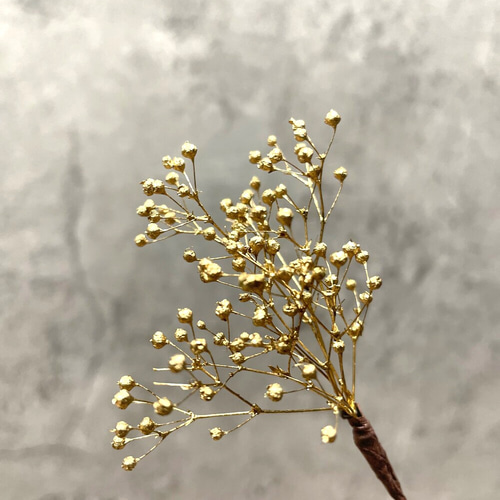 かすみ草/ゴールド 髪飾り(プリザーブドフラワー) その他素材 かすみ草/ゴールド 髪飾り(プリザーブドフラワー) その他素材