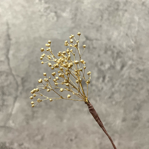かすみ草/ゴールド 髪飾り(プリザーブドフラワー) その他素材 かすみ草/ゴールド 髪飾り(プリザーブドフラワー) その他素材