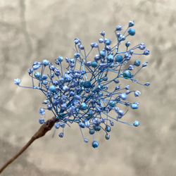 かすみ草/ブルー  髪飾り(プリザーブドフラワー) 1枚目の画像