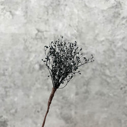 かすみ草/ラメブラック 髪飾り(プリザーブドフラワー) 2枚目の画像