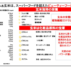 きな粉のような米ぬかパウダー　１００ｇ入り　1個　完全無欠米ぬか　食べる米ぬか飲む米ぬかの本物の米ぬかです。 7枚目の画像