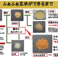  第5張的照片