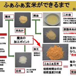 クロレラ玄米スペシャル　６０ｇ　1個　玄米と鮒寿司発酵米粉末を中心とした最強のお通じサポート食品です。お試しパックです。 4枚目の画像